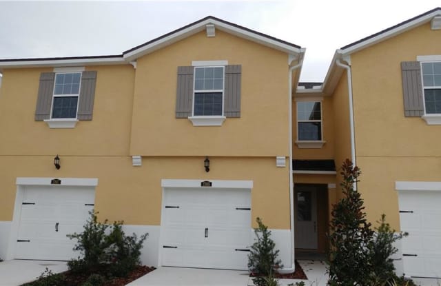 17805 ALTHEA BLUE PLACE - 17805 Althea Blue Pl, Cheval, FL 33558