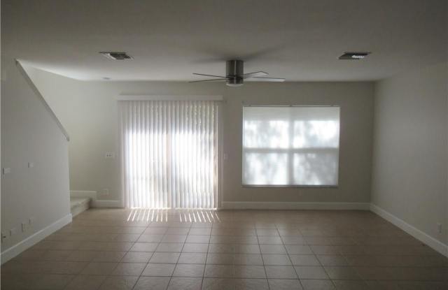 15130 Piping Plover CT Gallery 4