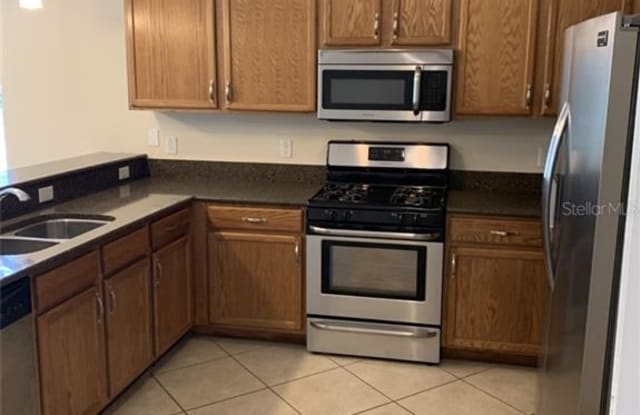 20328 MERRY OAK AVENUE - 20328 Merry Oak Avenue, Pebble Creek, FL 33647