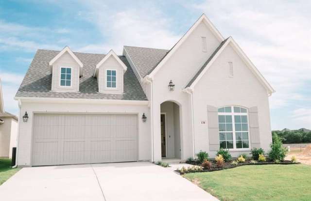 138 Kingfisher Lane - 138 Kingfisher Lane, Parker County, TX 76008