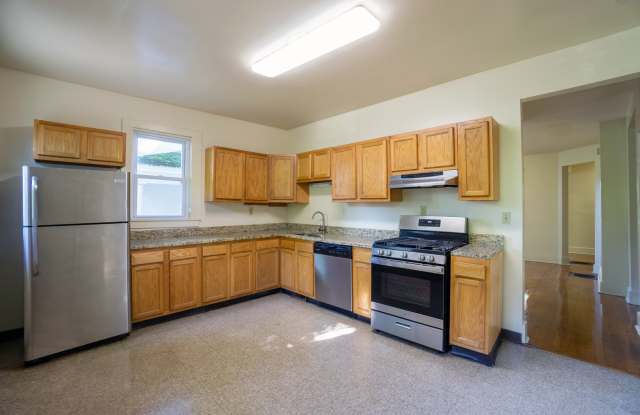 317 Greenwood Pl - AVAILABLE 8/1/27 - 3 Story Townhouse On Quiet Residential Street Gallery 2