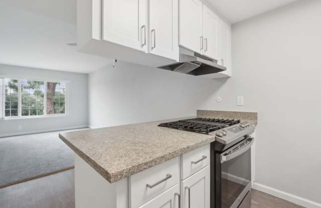 Brookvale Chateau Gallery 4