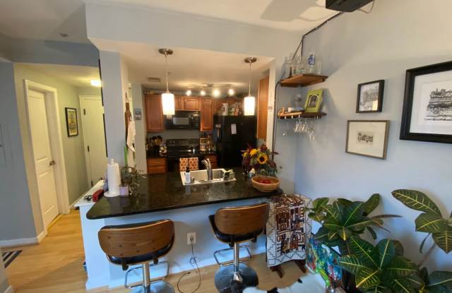 Charming, Spacious and Sunlit 1 BD, 1 BA 3rd Floor Walk-up in Columbia Heights NW!!! photos photos