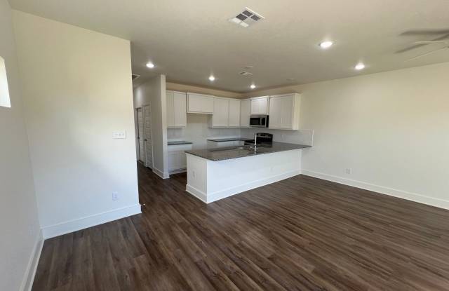 Newly built 3 and 4 bedroom townhomes available for rent! Gallery 4