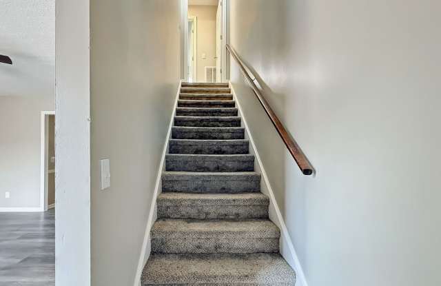 Holly Hills photos photos