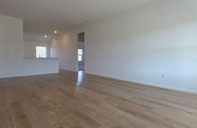 NEW BUILD WITH COMMUNITY POOL, AND STOCKED FISHING LAKES!!!! Gallery 4