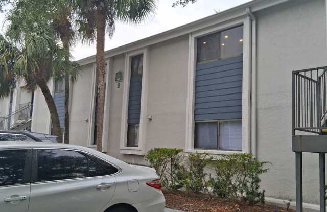 Ground floor 2bed/2bath ,water included,  in the heart of Carrollwood photos photos
