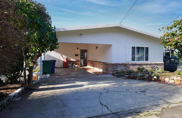 Kensington Beauty! photos photos