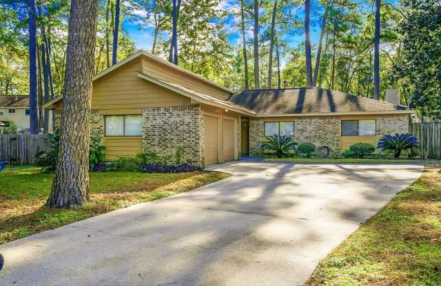 10 Rain Walk Court - 10 Rain Walk Court, The Woodlands, TX 77380