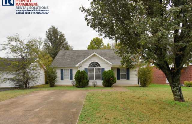 Wonderful 3BD 2BA in N. Murfreesboro w/ large fenced-in backyard! photos photos