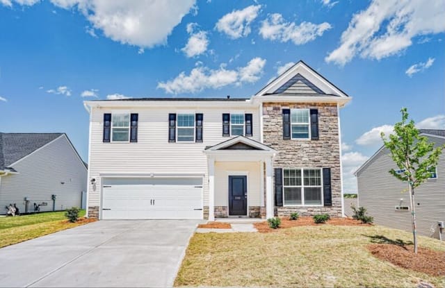 249 Braselton Street - 249 Braselton Street, Greer, SC 29334