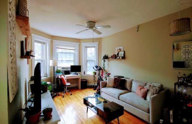 324 Chestnut Hill Ave. - 324 Chestnut Hill Avenue, Boston, MA 02135