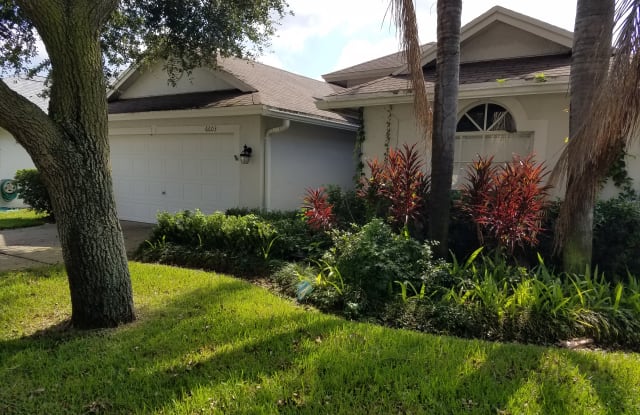 6603 Elliot Dr - 6603 Elliot Dr, Town 'n' Country, FL 33615