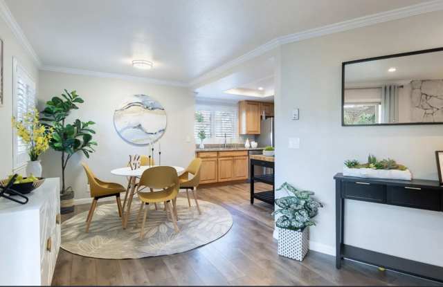 1173 Capri Drive Gallery 4