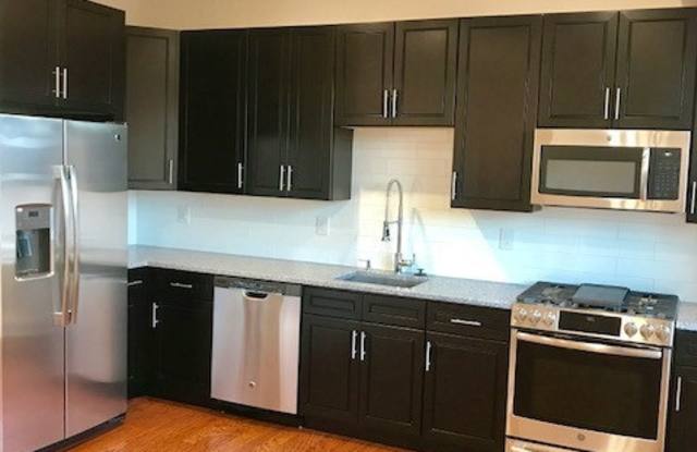 Brand New Construction Olde Kensington 2BR/1BA Apartment W/ Roof Deck - 1213 North Randolph Street, Philadelphia, PA 19122
