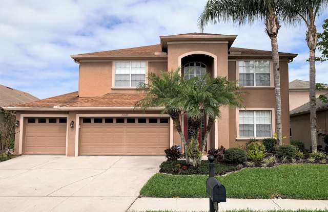 27035 Firebush Dr - 27035 Firebush Drive, Wesley Chapel, FL 33544