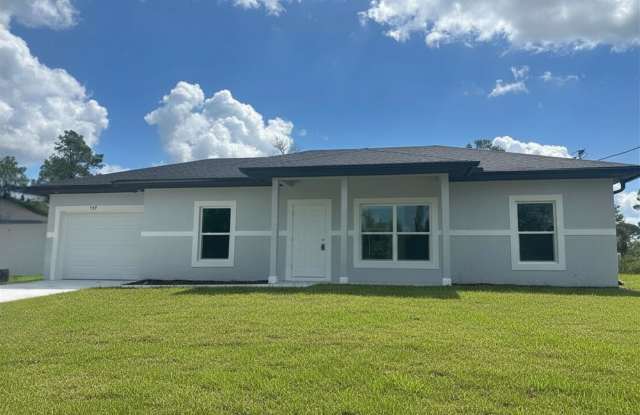 BRAND NEW! Move-In Ready Modern 3 Bed / 2 Bath Home in Desirable Lake Placid Neighborhood photos photos