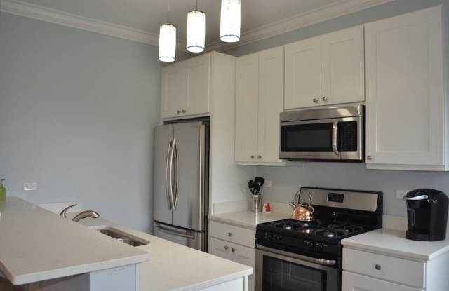 Luxury 3 bedroom duplex in Lakeview www.CedarRealty.com photos photos