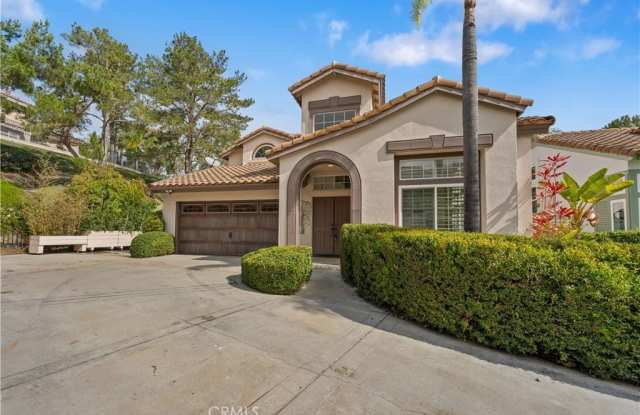 26531 Domingo Drive photos photos