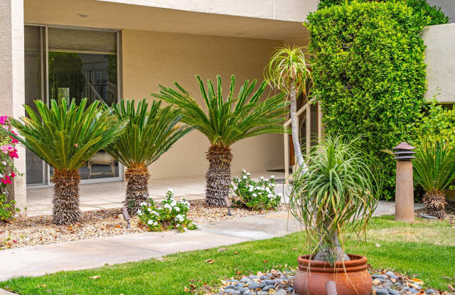 477 Desert Lakes Drive photos photos