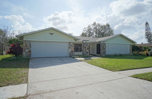 14011 Wolcott Drive - 14011 Wolcott Drive, Carrollwood, FL 33624
