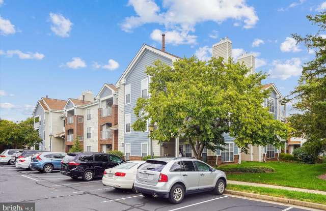 20963 TIMBER RIDGE TERRACE Gallery 3