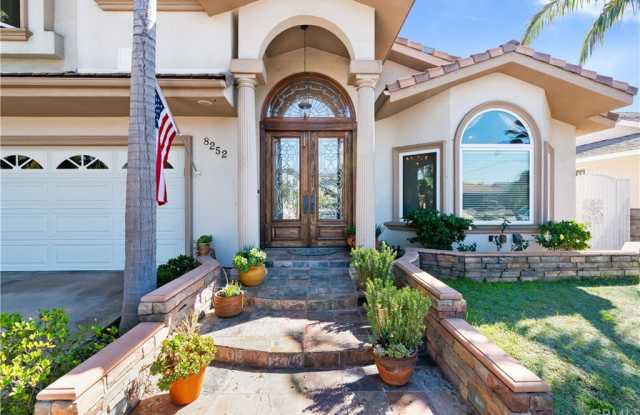 8252 Dancy Circle Gallery 3