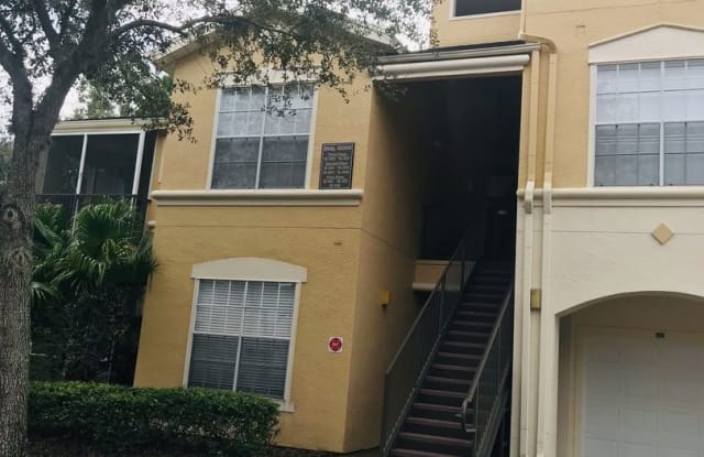 5125 Palm Springs Blvd.,# 15101 - 5125 Palm Springs Blvd 15101, Tampa, FL 33647