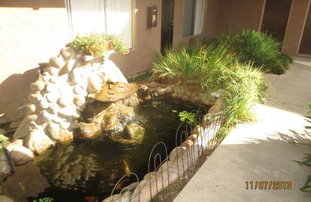4252 35th Street #6 Gallery 4
