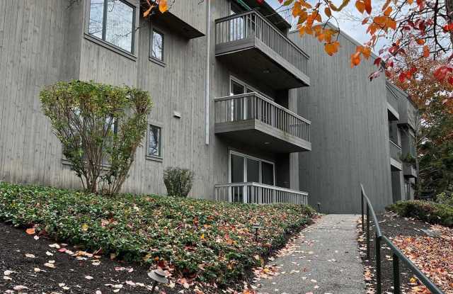 1 Pine Street photos photos