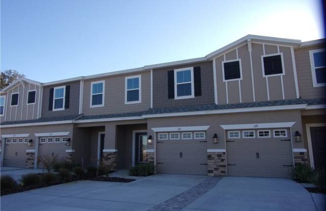 219 Bittern Loop - 219 Bittern Loop, Inverness, FL 34453