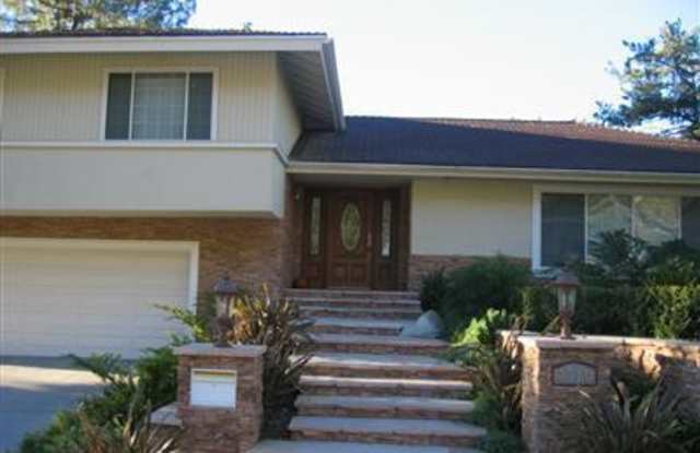 2716 Ridgepine Drive photos photos