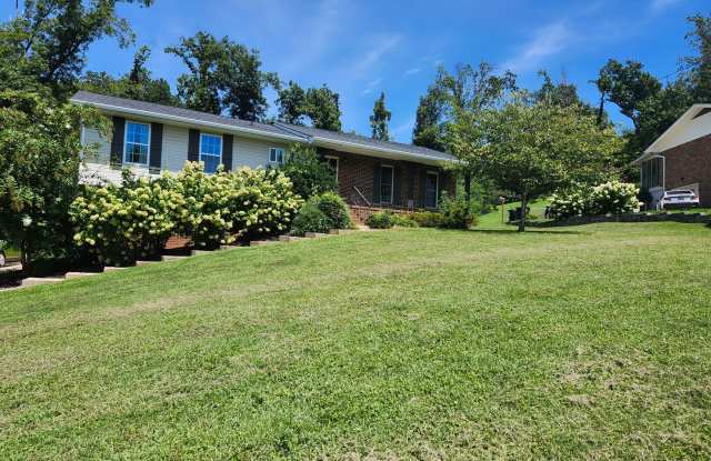 3 Bedroom 3 Bath home minutes from 1-75 and Hamilton Place Mall Gallery 4