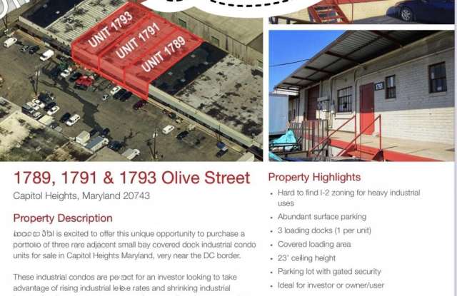 1791 OLIVE Street Gallery 4