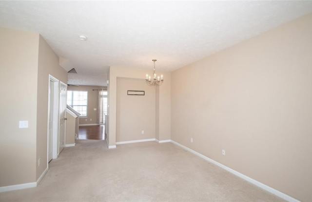423 Windham Pass Gallery 2