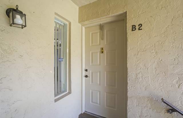 518 Shady Pine Way Gallery 2