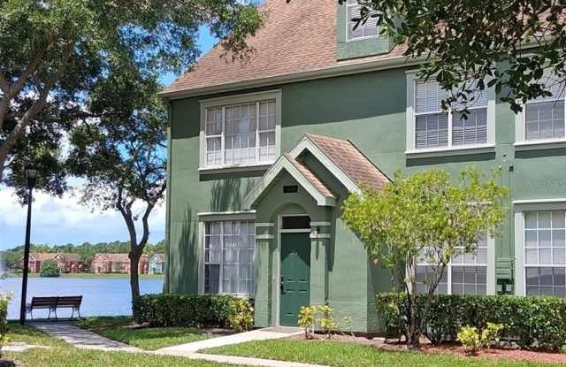 9020 LAKE CHASE ISLAND WAY photos photos