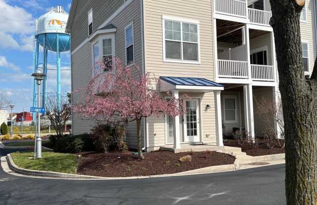 401 N SEAWAY CT - 401 North Seaway Court, Cambridge, MD 21613
