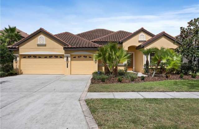 20107 SHADY HILL LANE - 20107 Shady Hill Lane, Hillsborough County, FL 33647
