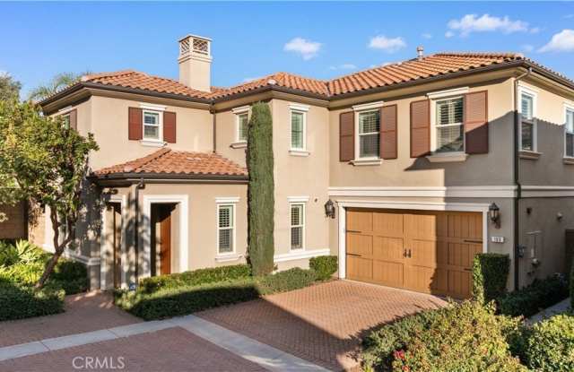 169 Coyote Brush photos photos
