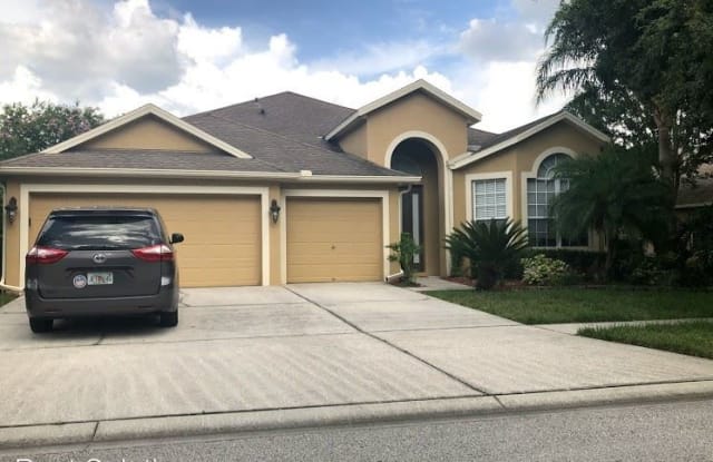 19125 Dove Creek Drive - 19125 Dove Creek Drive, Tampa, FL 33647
