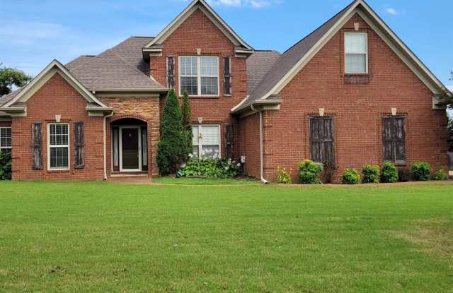 37 CHRISTMAS photos photos