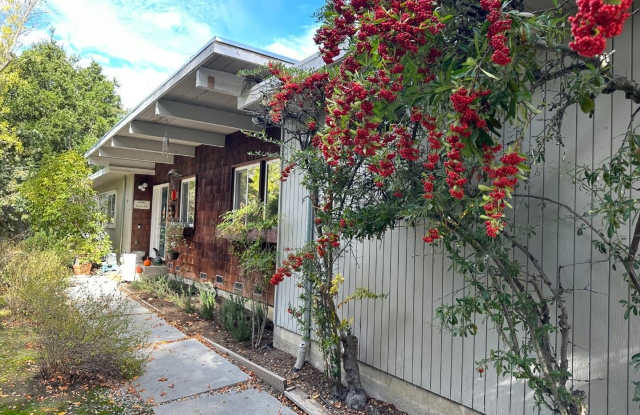 121 Escanyo WAY photos photos