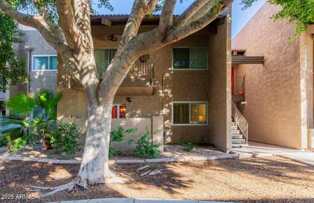 5525 E THOMAS Road unit: E3 photos photos 5525 E THOMAS Road unit: E3 photos photos