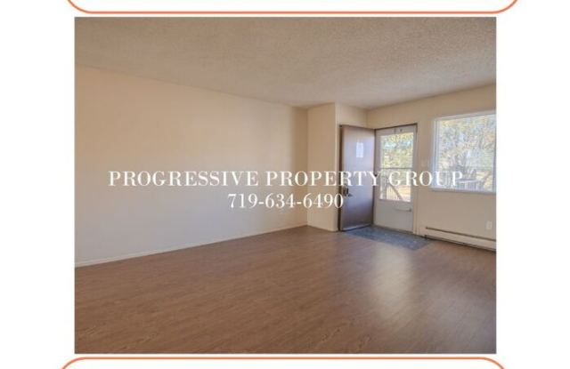 1125 Chiricahua Loop - 1125 Chiricahua Loop, Cimarron Hills, CO 80915
