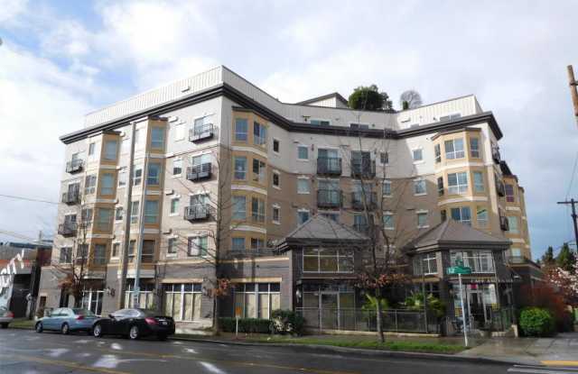1125 E Olive Street #204 photos photos