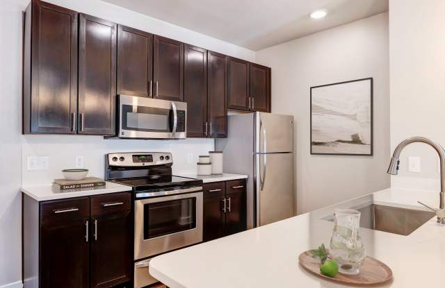 Falcon at Grand Harbor photos photos