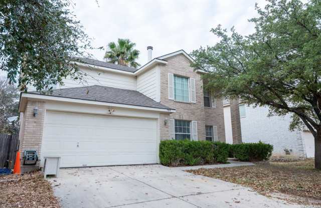 7919 Cerezo photos photos