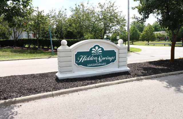 681 Spring Valley Drive - 681 Spring Valley Drive, Lewis Center, OH 43035