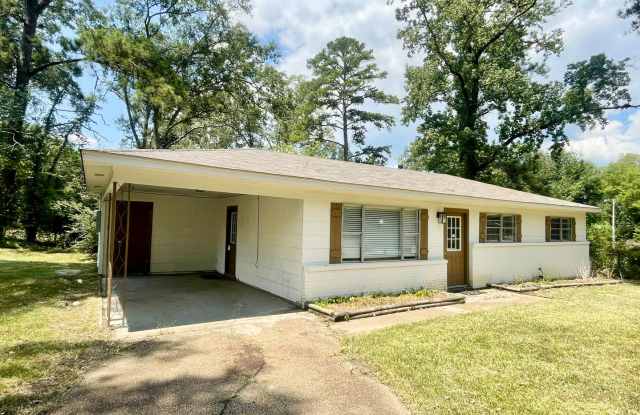 Charming 3 Bedroom Home in Pearl! Gallery 1